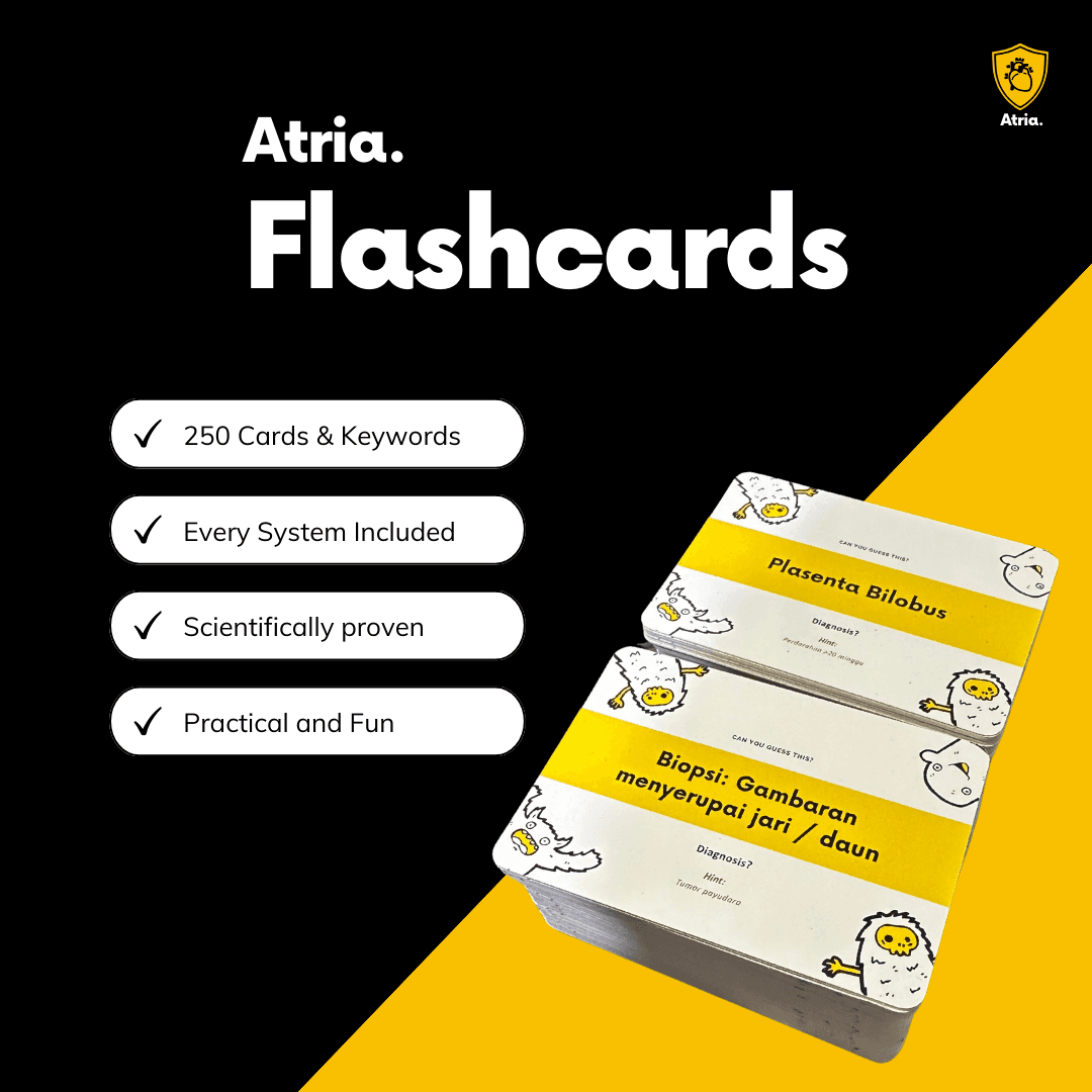 Flashcards Atria